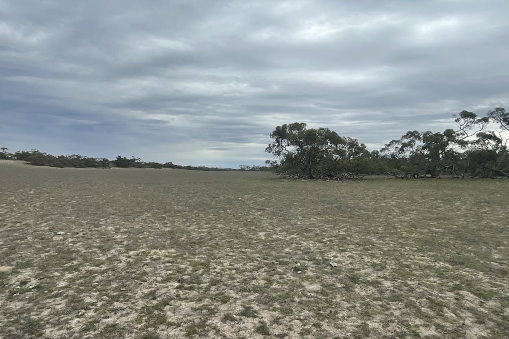 1287 Baan Hill Road, Lameroo, SA, 5302 - Image 19