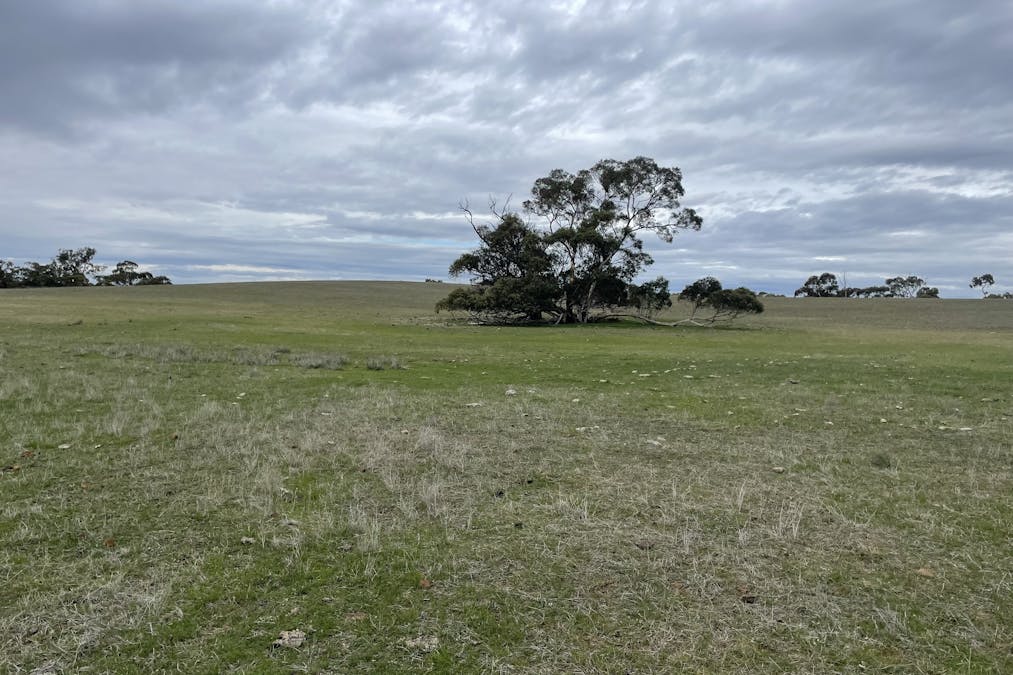 1287 Baan Hill Road, Lameroo, SA, 5302 - Image 20
