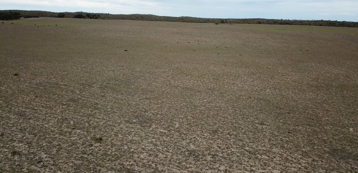 1287 Baan Hill Road, Lameroo, SA, 5302 - Image 22