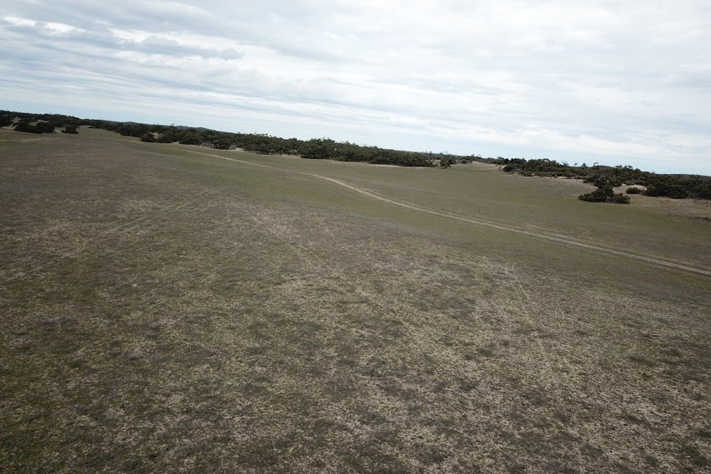 1287 Baan Hill Road, Lameroo, SA, 5302 - Image 24