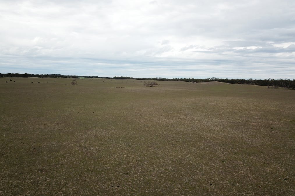 1287 Baan Hill Road, Lameroo, SA, 5302 - Image 26