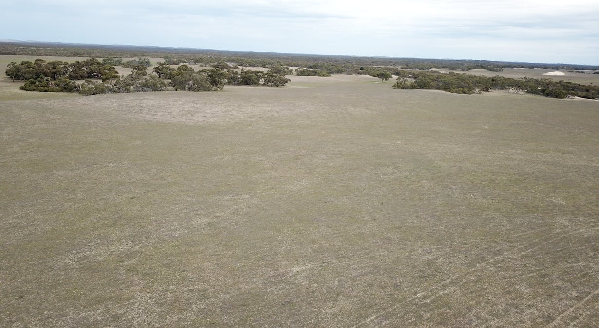 1287 Baan Hill Road, Lameroo, SA, 5302 - Image 27