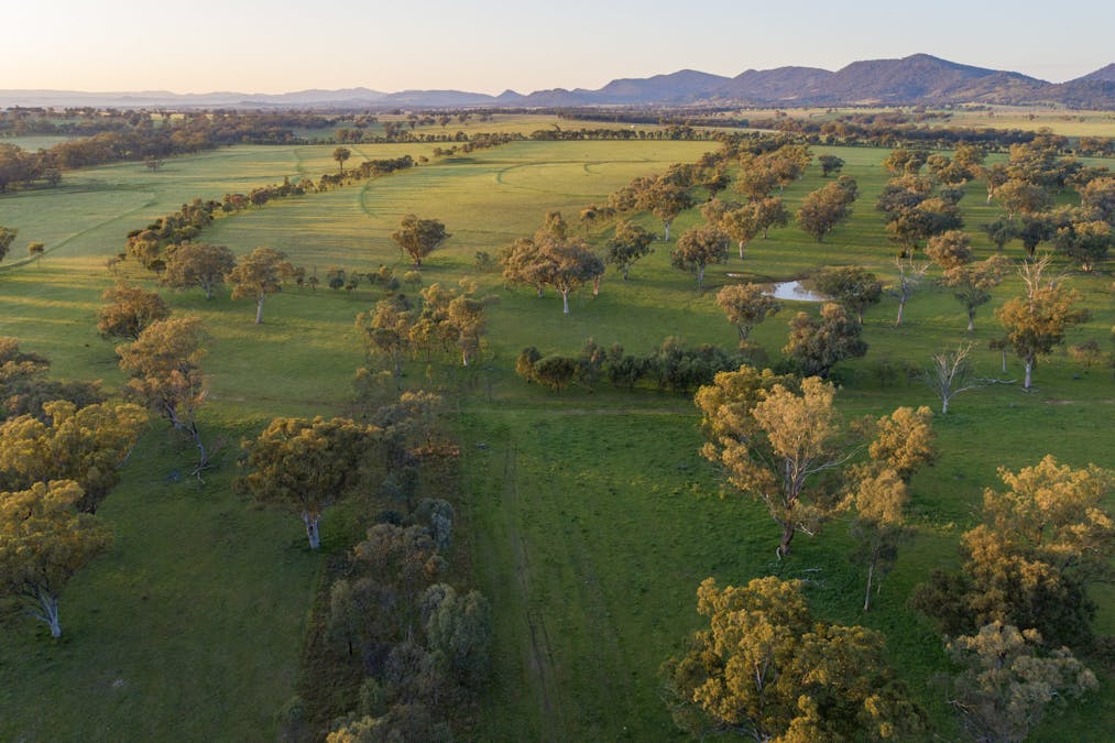 160 Lees Road, Duri, NSW, 2344 - Image 2