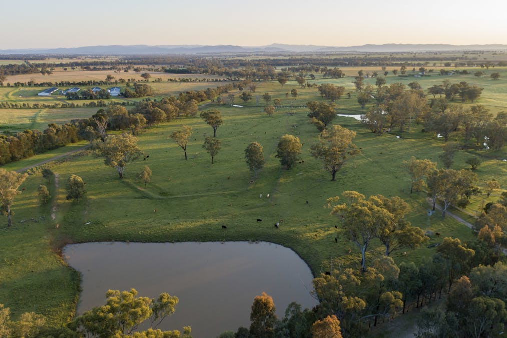 160 Lees Road, Duri, NSW, 2344 - Image 3