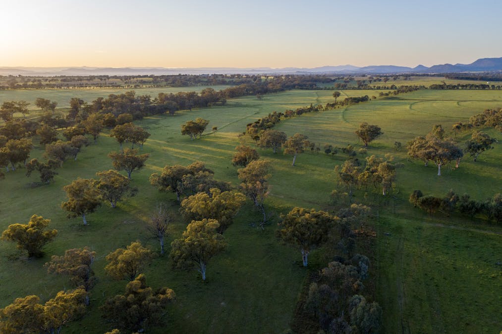 160 Lees Road, Duri, NSW, 2344 - Image 4