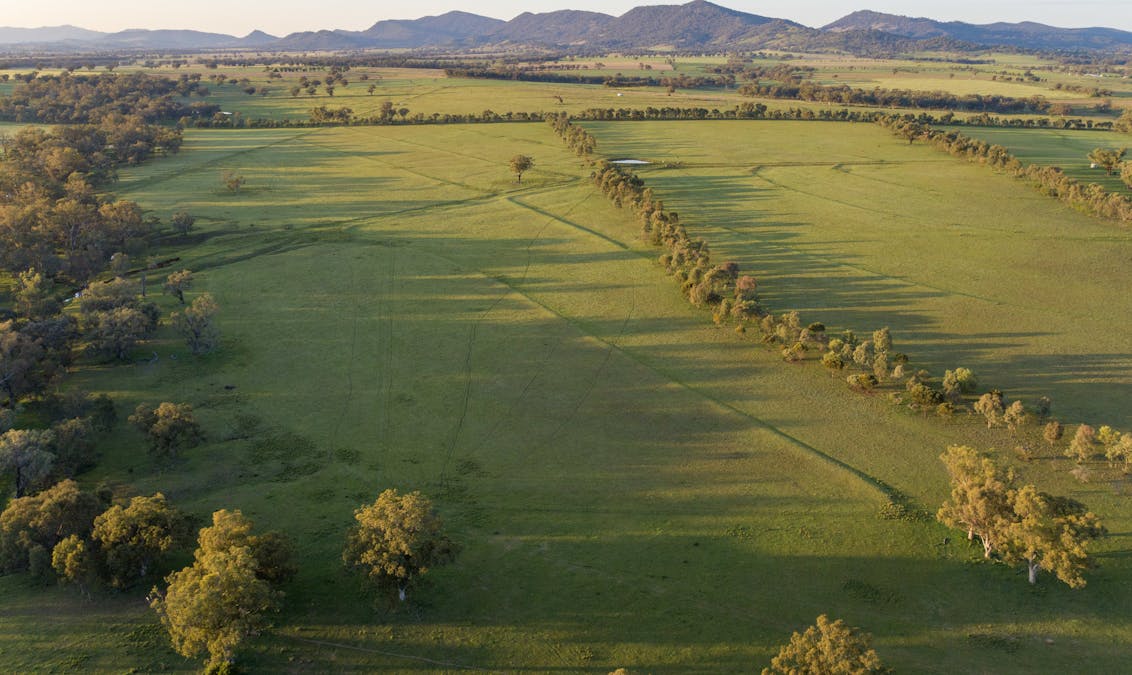 160 Lees Road, Duri, NSW, 2344 - Image 26