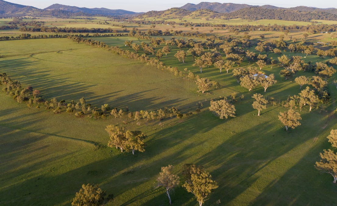 160 Lees Road, Duri, NSW, 2344 - Image 27