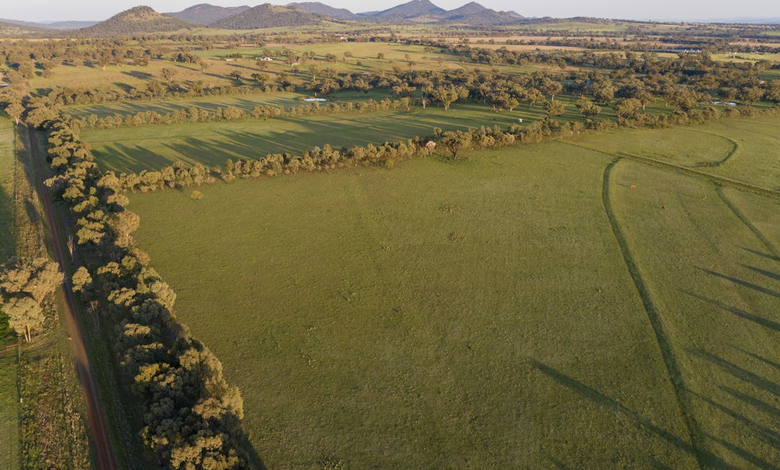160 Lees Road, Duri, NSW, 2344 - Image 29
