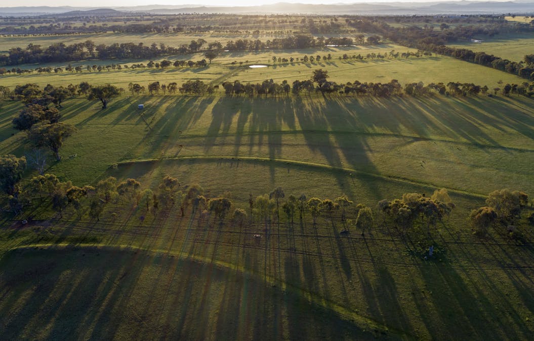 160 Lees Road, Duri, NSW, 2344 - Image 33
