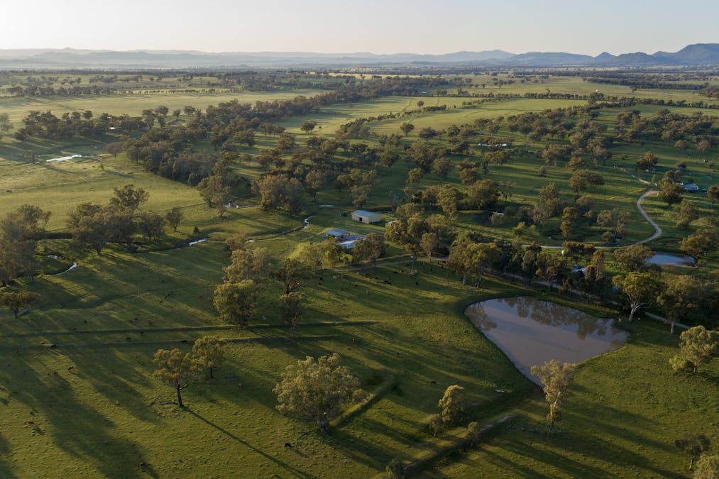 160 Lees Road, Duri, NSW, 2344 - Image 30