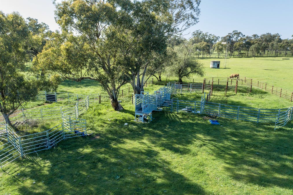 160 Lees Road, Duri, NSW, 2344 - Image 15