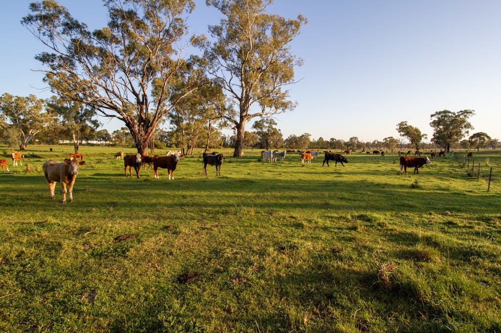 160 Lees Road, Duri, NSW, 2344 - Image 32