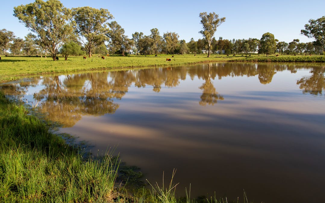 160 Lees Road, Duri, NSW, 2344 - Image 5