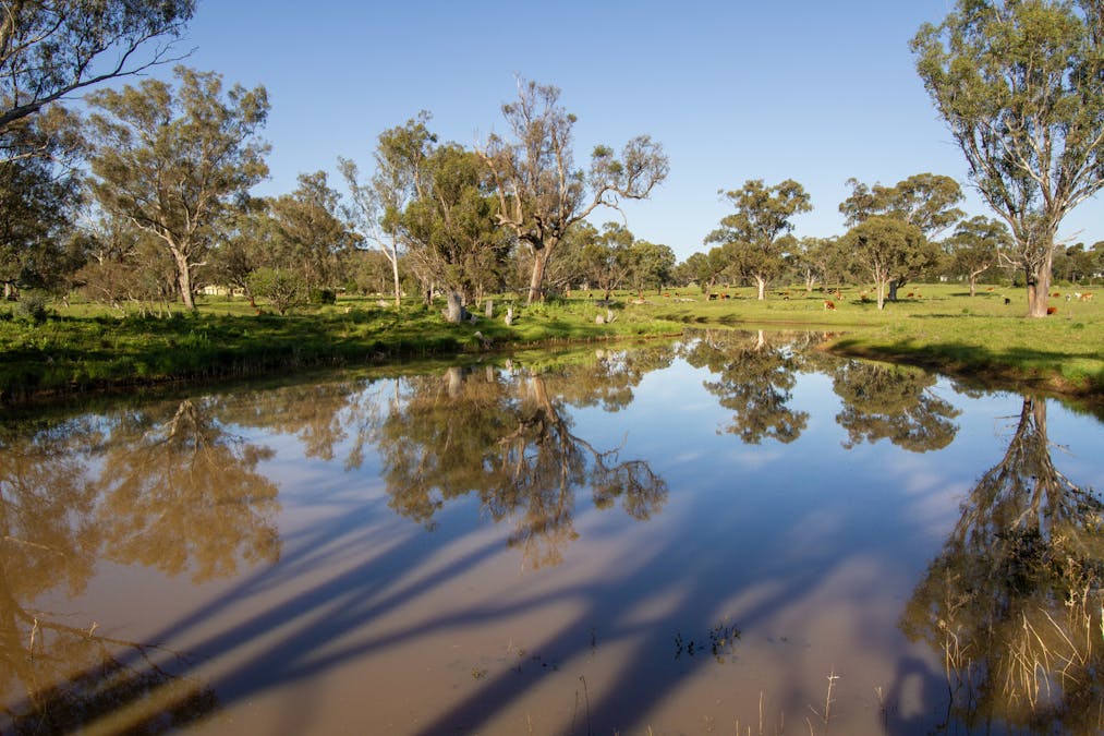 160 Lees Road, Duri, NSW, 2344 - Image 31