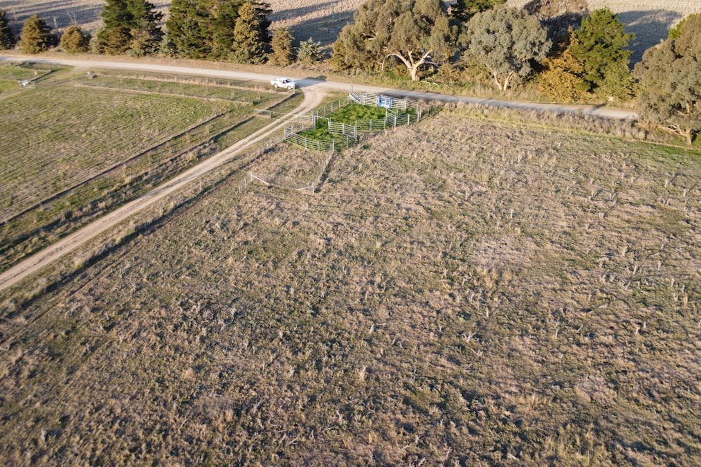 156  Hopefield Road, Boorowa, NSW, 2586 - Image 10
