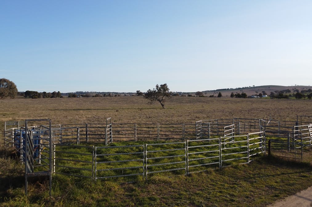 156  Hopefield Road, Boorowa, NSW, 2586 - Image 4