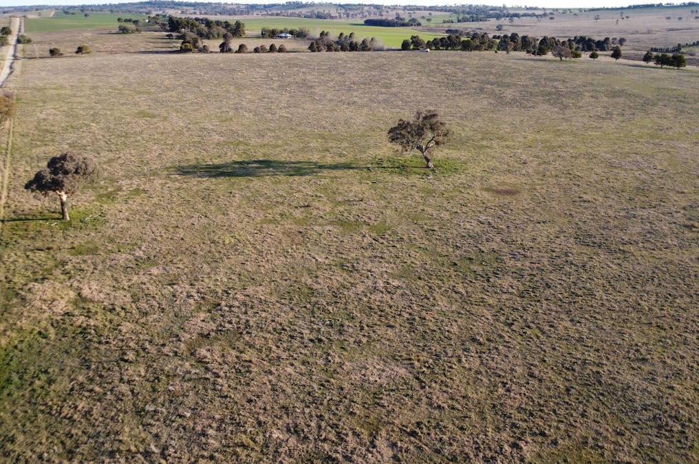 156  Hopefield Road, Boorowa, NSW, 2586 - Image 7
