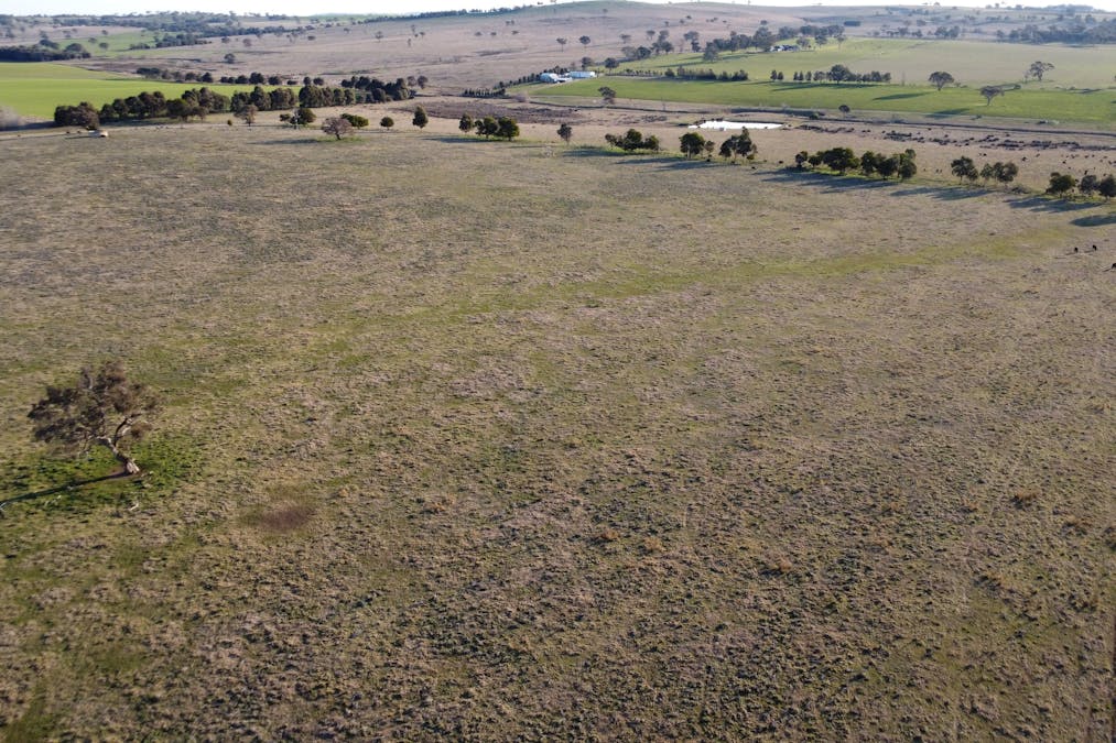 156  Hopefield Road, Boorowa, NSW, 2586 - Image 12