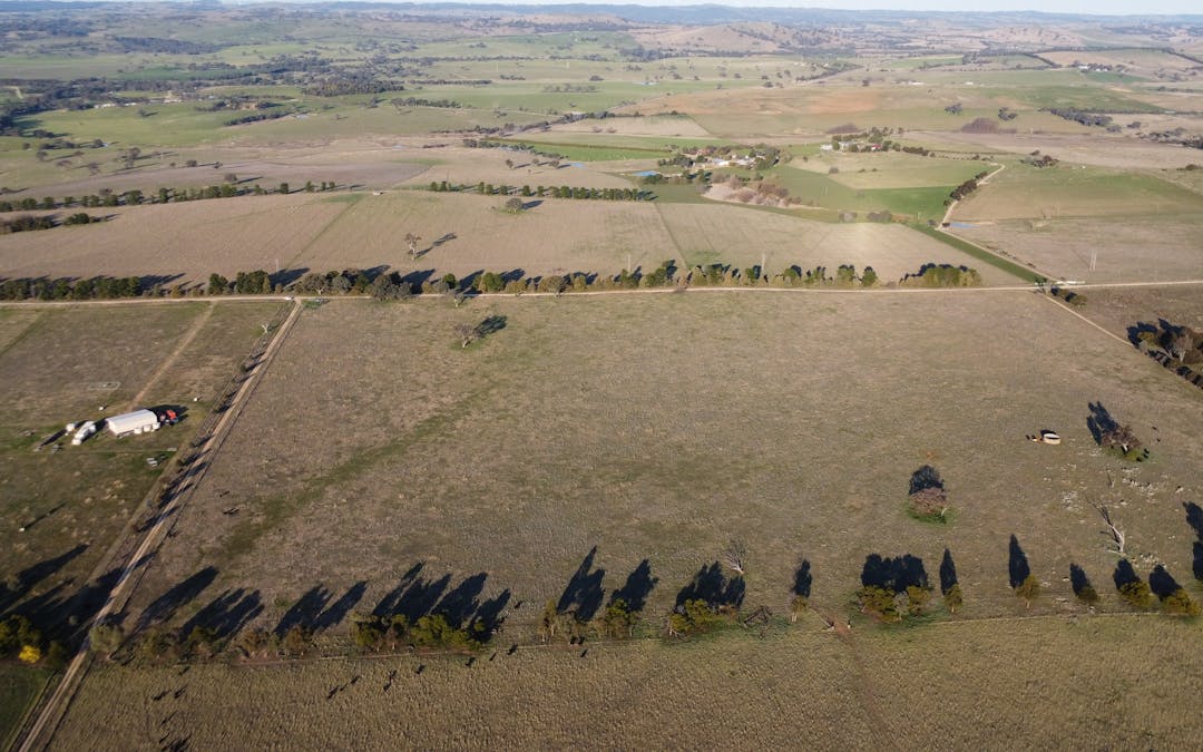 156  Hopefield Road, Boorowa, NSW, 2586 - Image 13