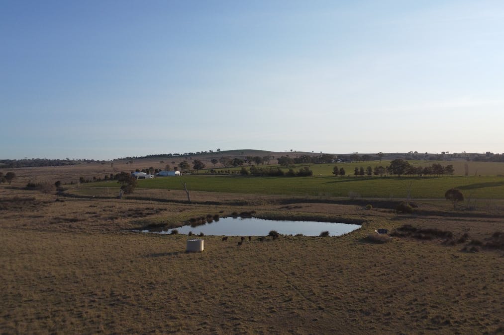 156  Hopefield Road, Boorowa, NSW, 2586 - Image 16