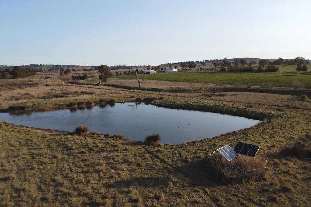 156  Hopefield Road, Boorowa, NSW, 2586 - Image 2
