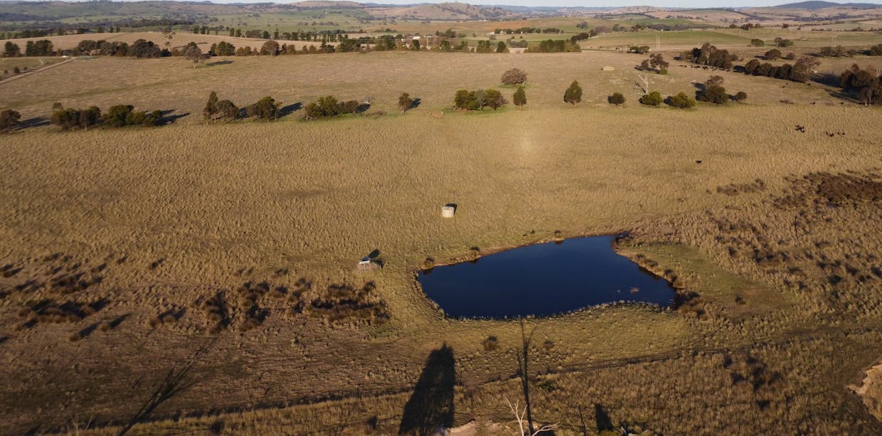 156  Hopefield Road, Boorowa, NSW, 2586 - Image 6