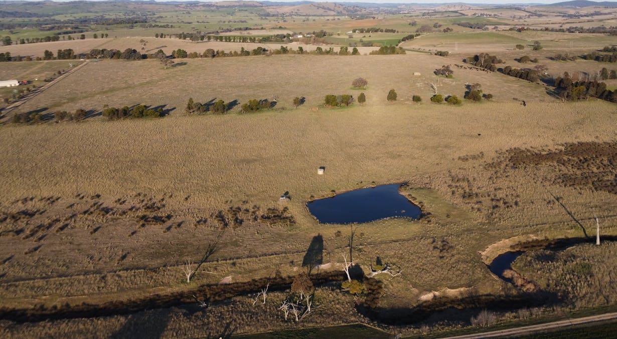 156  Hopefield Road, Boorowa, NSW, 2586 - Image 18