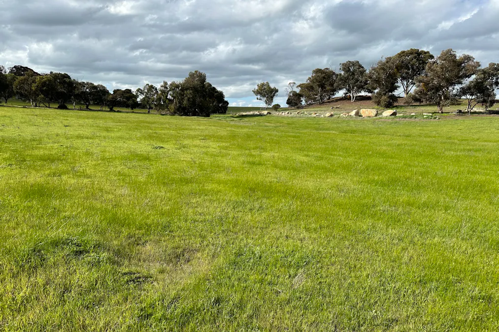 173 Prosser Road, Woodanilling, WA, 6316 - Image 4