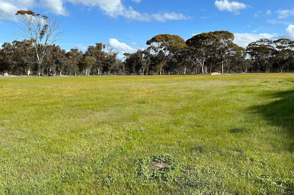173 Prosser Road, Woodanilling, WA, 6316 - Image 5