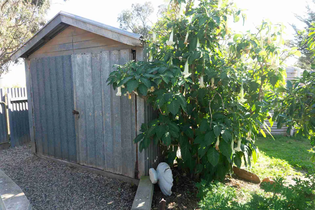 6 Pearce Crescent, Cleve, SA, 5640 - Image 35