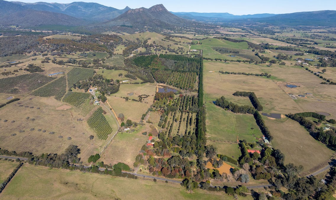  252 Taggerty - Thornton Road, Taggerty, VIC, 3714 - Image 1