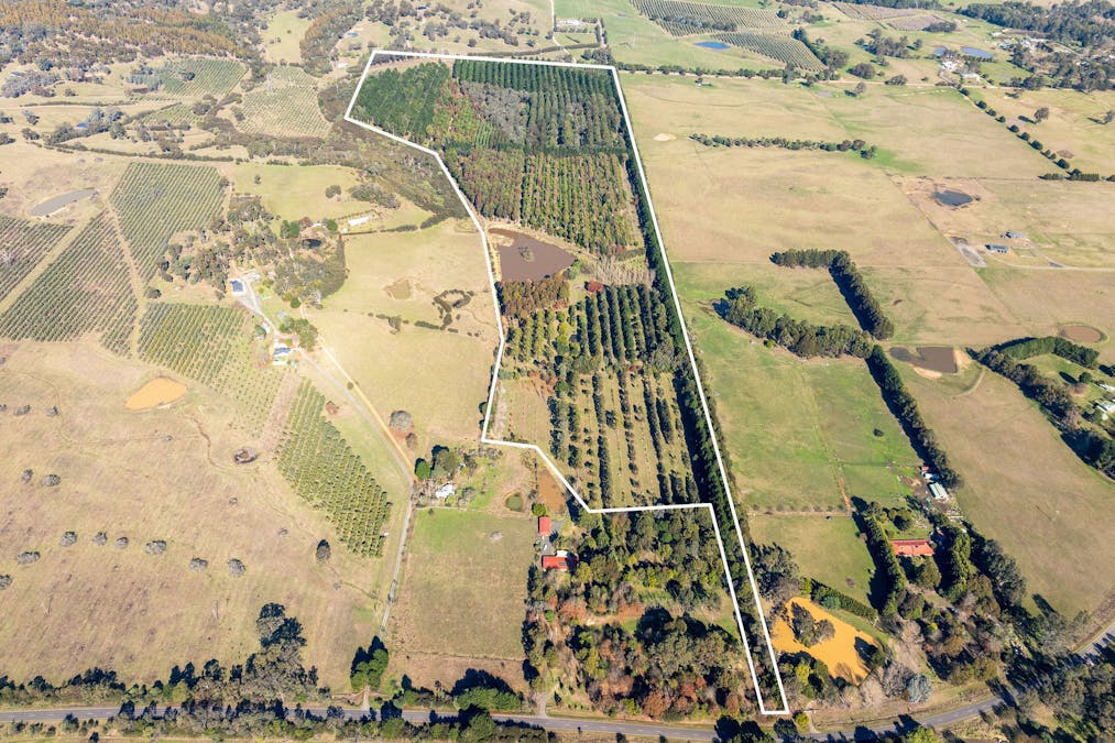  252 Taggerty - Thornton Road, Taggerty, VIC, 3714 - Image 2