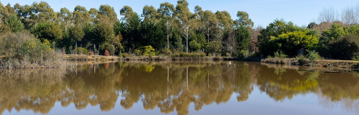 252 Taggerty - Thornton Road, Taggerty, VIC, 3714 - Image 6