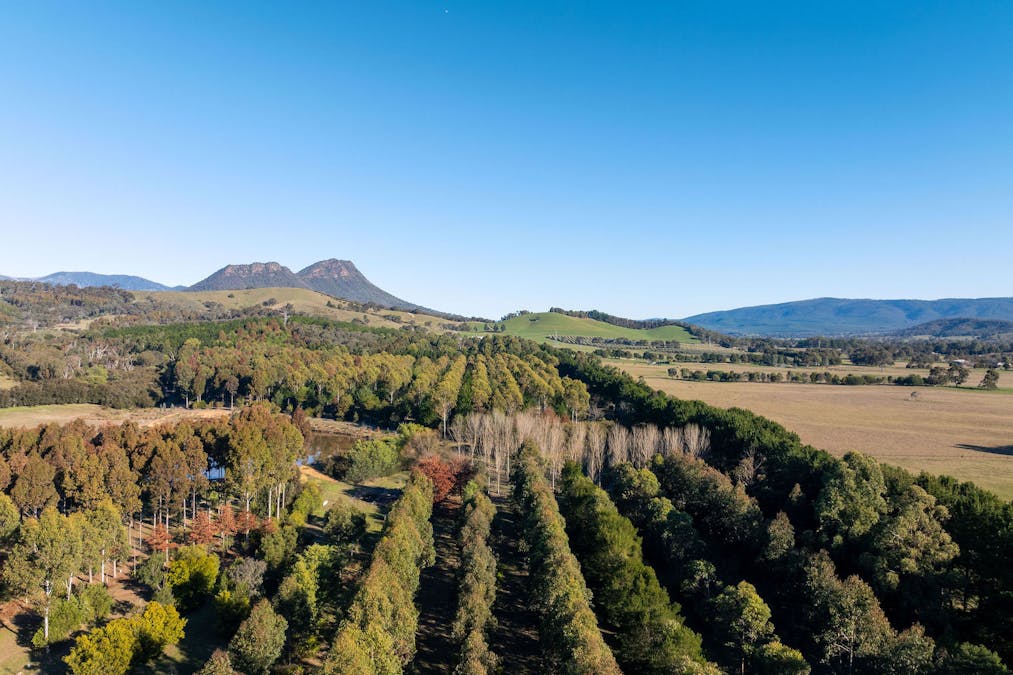  252 Taggerty - Thornton Road, Taggerty, VIC, 3714 - Image 9