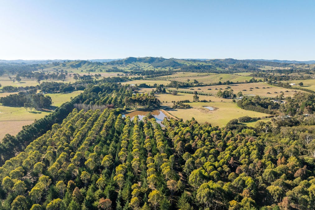  252 Taggerty - Thornton Road, Taggerty, VIC, 3714 - Image 11