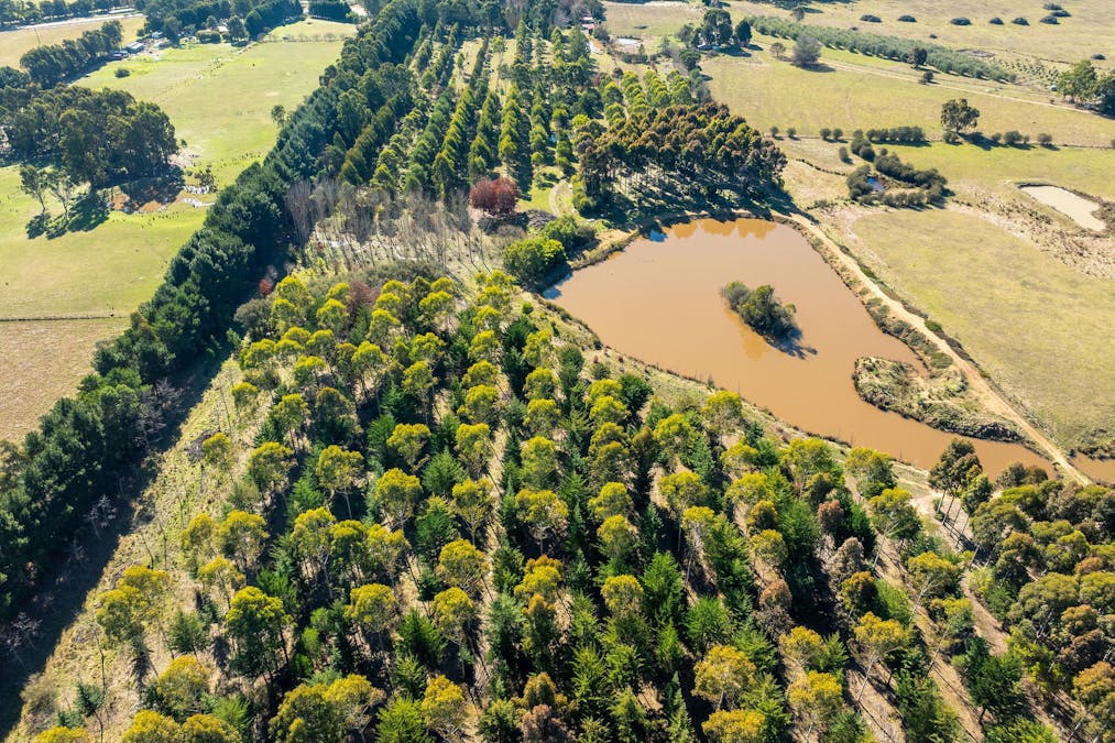  252 Taggerty - Thornton Road, Taggerty, VIC, 3714 - Image 14