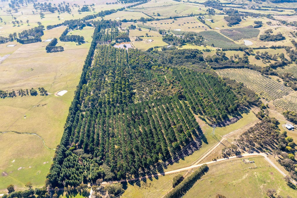 252 Taggerty - Thornton Road, Taggerty, VIC, 3714 - Image 17