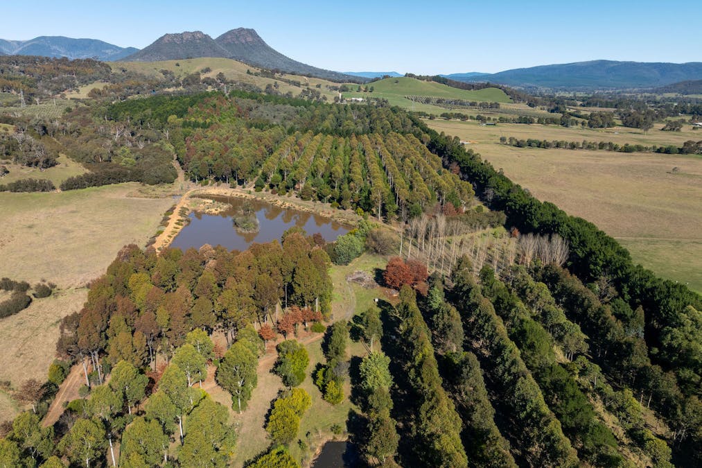  252 Taggerty - Thornton Road, Taggerty, VIC, 3714 - Image 19