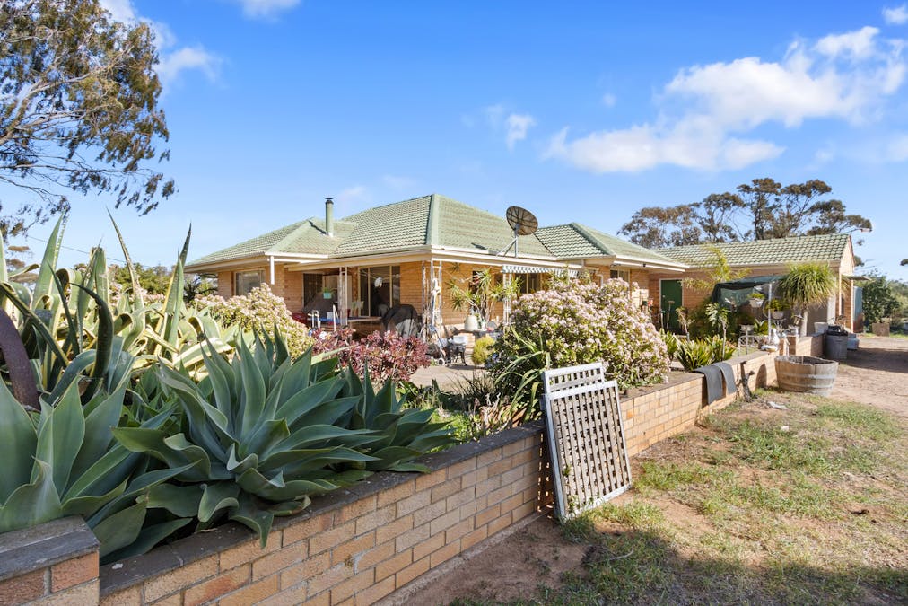 655 Scott Road, Nantawarra, SA, 5550 - Image 19