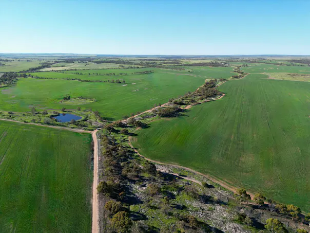 Lot 801 Carnamah - Perenjori Road, Carnamah, WA, 6517
