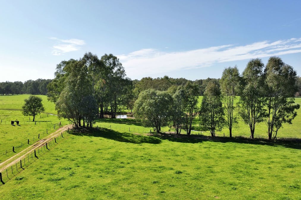 1613 Wangaratta Whitfield Road, Docker, VIC, 3678 - Image 8