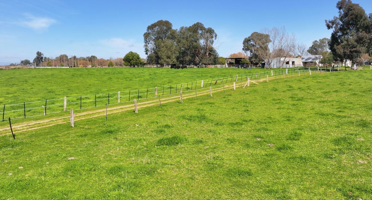 1613 Wangaratta Whitfield Road, Docker, VIC, 3678 - Image 6