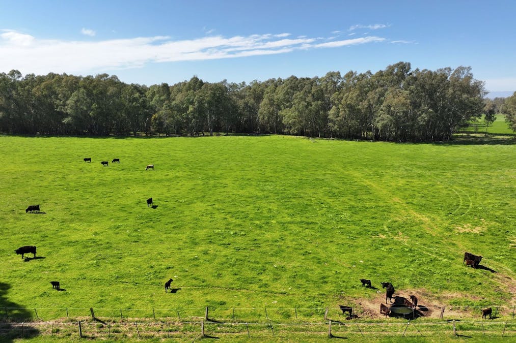 1613 Wangaratta Whitfield Road, Docker, VIC, 3678 - Image 9