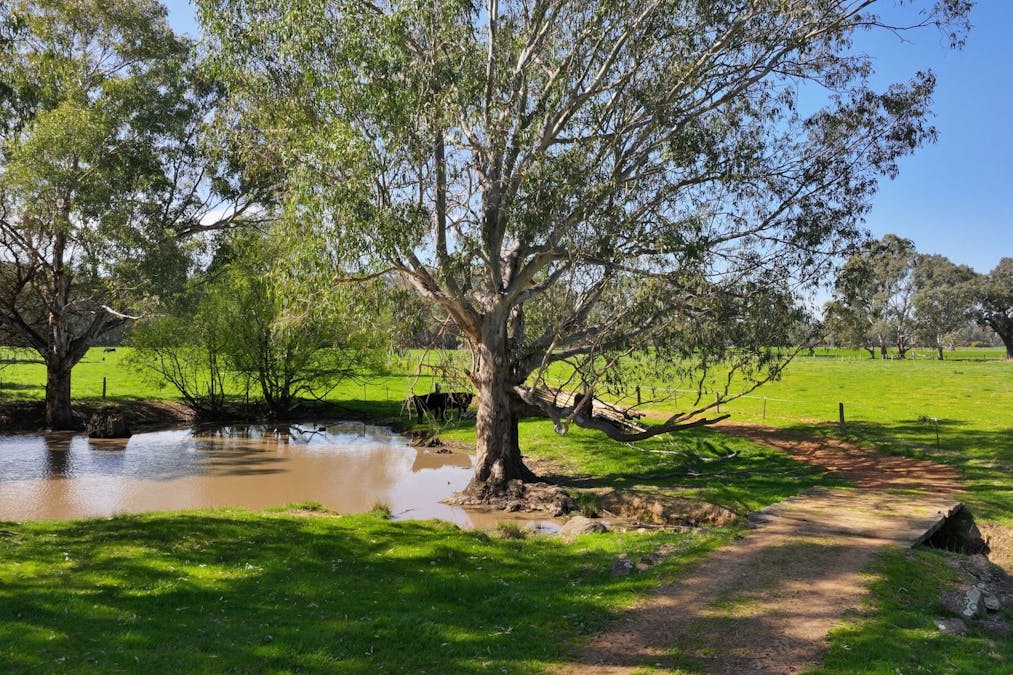 1613 Wangaratta Whitfield Road, Docker, VIC, 3678 - Image 4