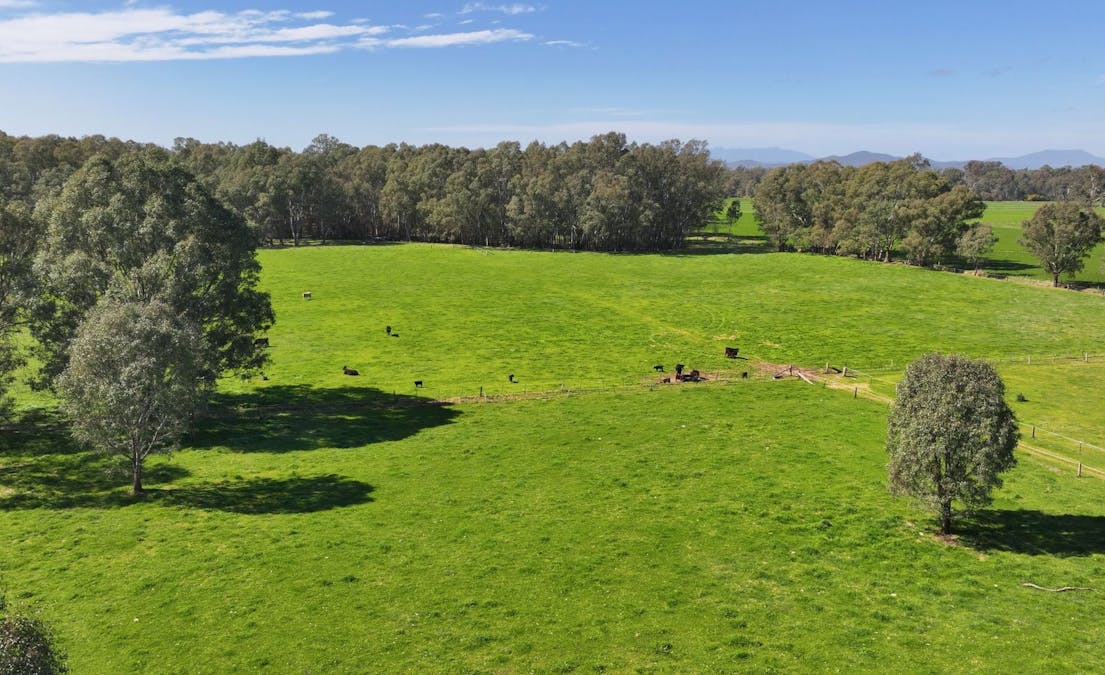 1613 Wangaratta Whitfield Road, Docker, VIC, 3678 - Image 12