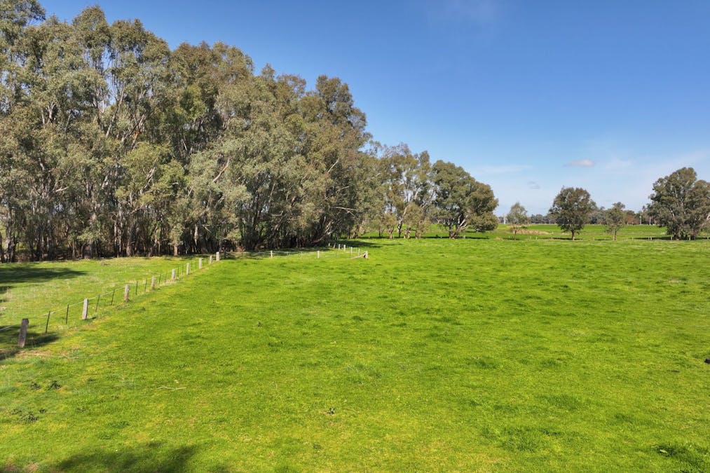 1613 Wangaratta Whitfield Road, Docker, VIC, 3678 - Image 13
