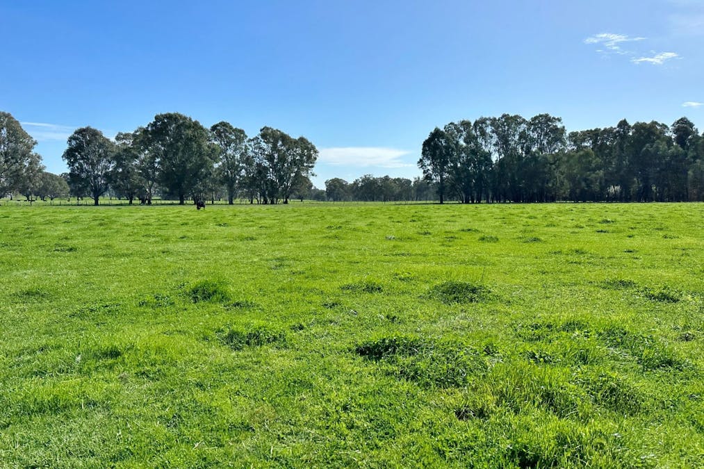 1613 Wangaratta Whitfield Road, Docker, VIC, 3678 - Image 14