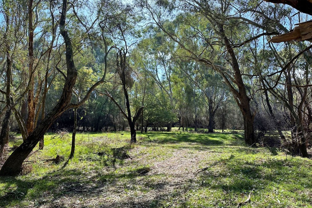 1613 Wangaratta Whitfield Road, Docker, VIC, 3678 - Image 15