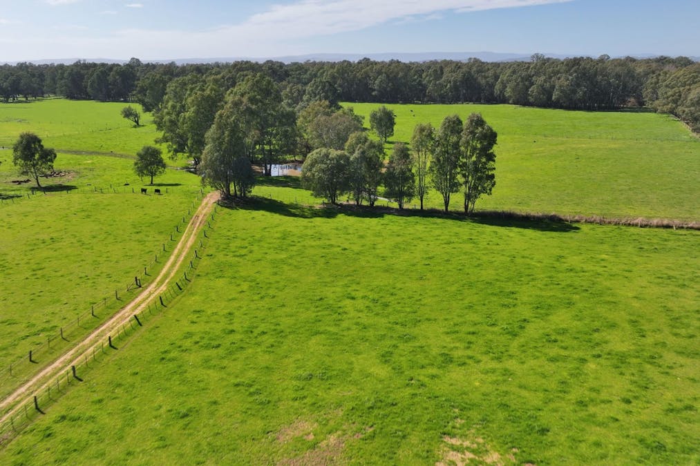 1613 Wangaratta Whitfield Road, Docker, VIC, 3678 - Image 2