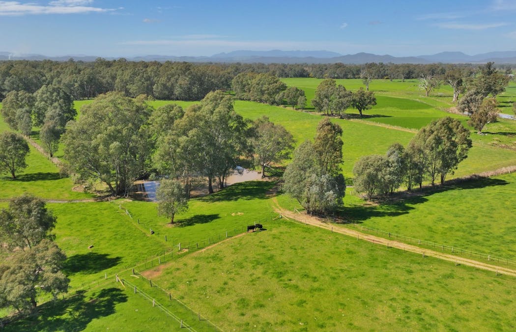 1613 Wangaratta Whitfield Road, Docker, VIC, 3678 - Image 1